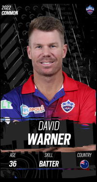 David Warner Collectible Surface Thumbnail