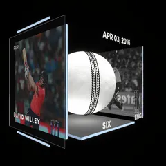 David Willey Collectible Surface Thumbnail