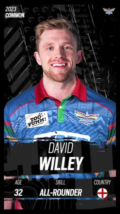 David Willey Collectible Surface Thumbnail