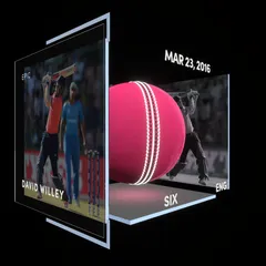 David Willey Collectible Surface Thumbnail