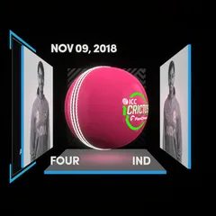 Digital Collectible For Dayalan Hemalatha's Four At The 2018 ICC Women's T20 World Cup.