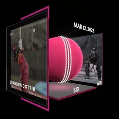 Deandra Dottin Collectible Surface Thumbnail