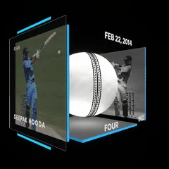 Deepak Hooda Collectible Surface Thumbnail