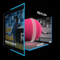 Deepak Hooda Collectible Surface Thumbnail
