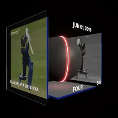 Dhananjaya de Silva Collectible Surface Thumbnail