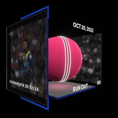 Dhananjaya de Silva Collectible Surface Thumbnail