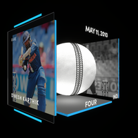 Dinesh Karthik Collectible Surface Thumbnail