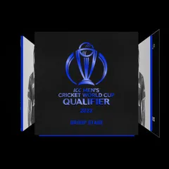 Dipendra Singh Airee Collectible Surface Thumbnail