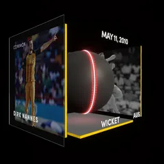 Dirk Nannes Collectible Surface Thumbnail