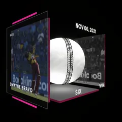 Dwayne Bravo Collectible Surface Thumbnail