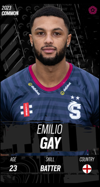 Emilio Gay Collectible Surface Thumbnail