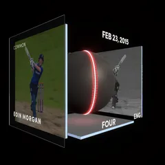Eoin Morgan Collectible Surface Thumbnail