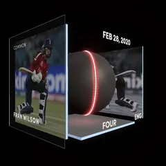 Fran Wilson Collectible Surface Thumbnail
