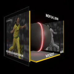 Georgia Wareham Collectible Surface Thumbnail