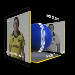 Georgia Wareham Collectible Surface Thumbnail