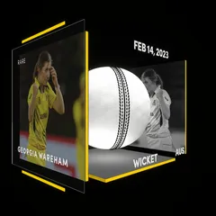 Georgia Wareham Collectible Surface Thumbnail