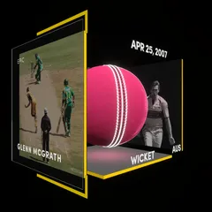 Glenn McGrath Collectible Surface Thumbnail