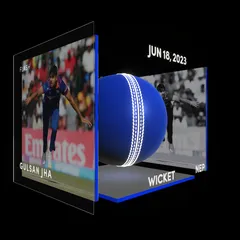 Gulsan Jha Collectible Surface Thumbnail