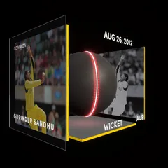 Gurinder Sandhu Collectible Surface Thumbnail