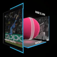 Hardik Pandya Collectible Surface Thumbnail