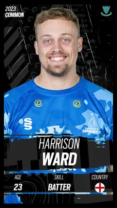 Harrison Ward Collectible Surface Thumbnail
