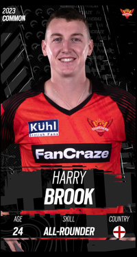 Harry Brook Collectible Surface Thumbnail