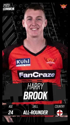 Harry Brook Collectible Surface Thumbnail