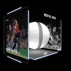 Harry Brook Collectible Surface Thumbnail
