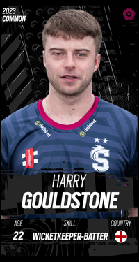 Harry Gouldstone Collectible Surface Thumbnail