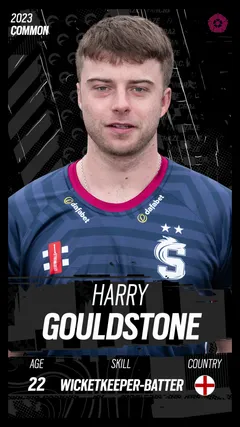Harry Gouldstone Collectible Surface Thumbnail