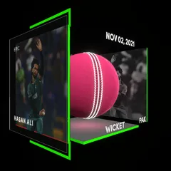 Hasan Ali Collectible Surface Thumbnail