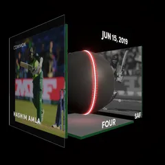 Hashim Amla Collectible Surface Thumbnail