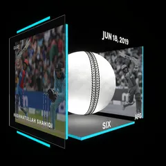 Hashmatullah Shahidi Collectible Surface Thumbnail