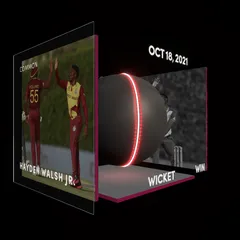 Hayden Walsh Jr. Collectible Surface Thumbnail