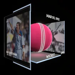 Ian Botham  Collectible Surface Thumbnail