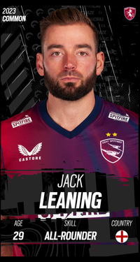 Jack Leaning Collectible Surface Thumbnail