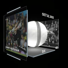 Jimmy Neesham Collectible Surface Thumbnail
