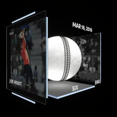 Joe Root Collectible Surface Thumbnail