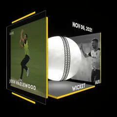 Josh Hazlewood Collectible Surface Thumbnail