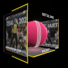 Josh Hazlewood Collectible Surface Thumbnail
