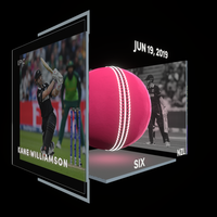 Kane Williamson Collectible Surface Thumbnail