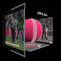 Kane Williamson Collectible Surface Thumbnail