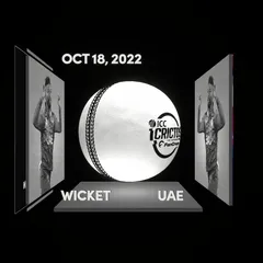 Digital Collectible For Karthik Meiyappan's Wicket At The 2022 ICC Men's T20 World Cup