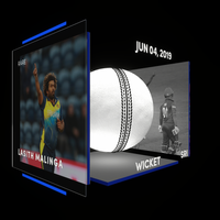 Lasith Malinga Collectible Surface Thumbnail