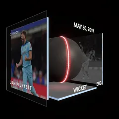 Liam Plunkett  Collectible Surface Thumbnail