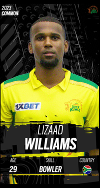 Lizaad Williams Collectible Surface Thumbnail