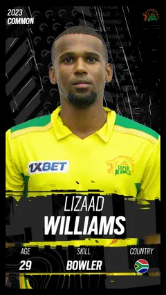 Lizaad Williams Collectible Surface Thumbnail