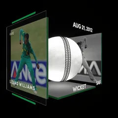Lizaad Williams Collectible Surface Thumbnail