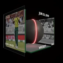 Lungi Ngidi Collectible Surface Thumbnail
