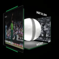 Lungi Ngidi Collectible Surface Thumbnail